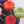 Load image into Gallery viewer, monaca stool (モナカスツール) Tsubaki J collection