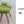 Load image into Gallery viewer, monaca stool (モナカスツール) Tsubaki J collection