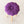 Load image into Gallery viewer, monaca stool (モナカスツール) kiku