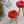 Load image into Gallery viewer, monaca stool (モナカスツール) Tsubaki J collection