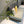 Load image into Gallery viewer, Bolo sofa 3P(ボーロ ソファ)